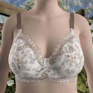 The Neutral Collection - Trellising Lace Bra Kit