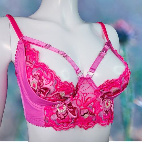 Vanity Fair Lace Bra Kit