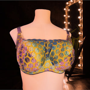 Through the Looking Glass Lace Bra Kit