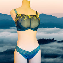 Load image into Gallery viewer, Ferndell Lace Bra Kit