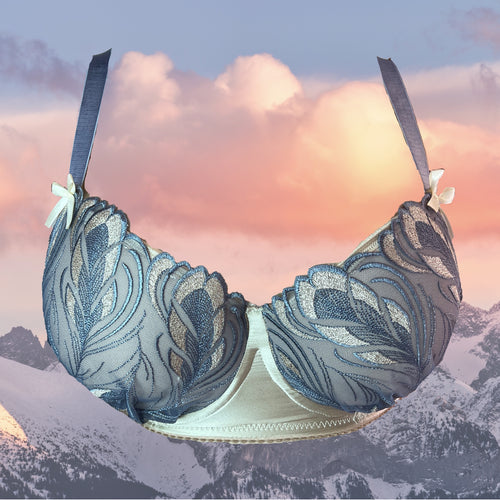 Icarus Lace Bra Kit