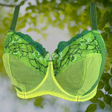 Load image into Gallery viewer, Brigadoon Lace Bra Kit