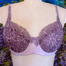 Load image into Gallery viewer, Wisteria Willowdale Bra Kit