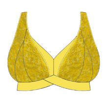 Load image into Gallery viewer, Sunburst Loftus Bra Kit