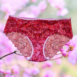 Confetti Willowdale Bra Kit