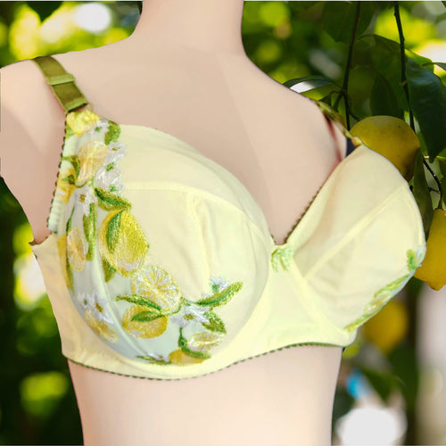 Lemon Ice Lace Bra Kit