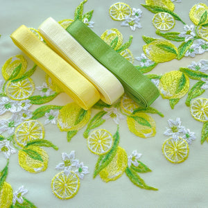 Lemon Ice Lace Bra Kit