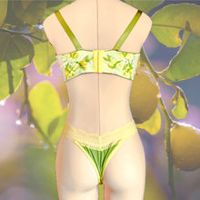 Load image into Gallery viewer, Lemon Ice Lace Bra Kit