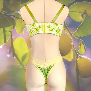 Lemon Ice Lace Bra Kit