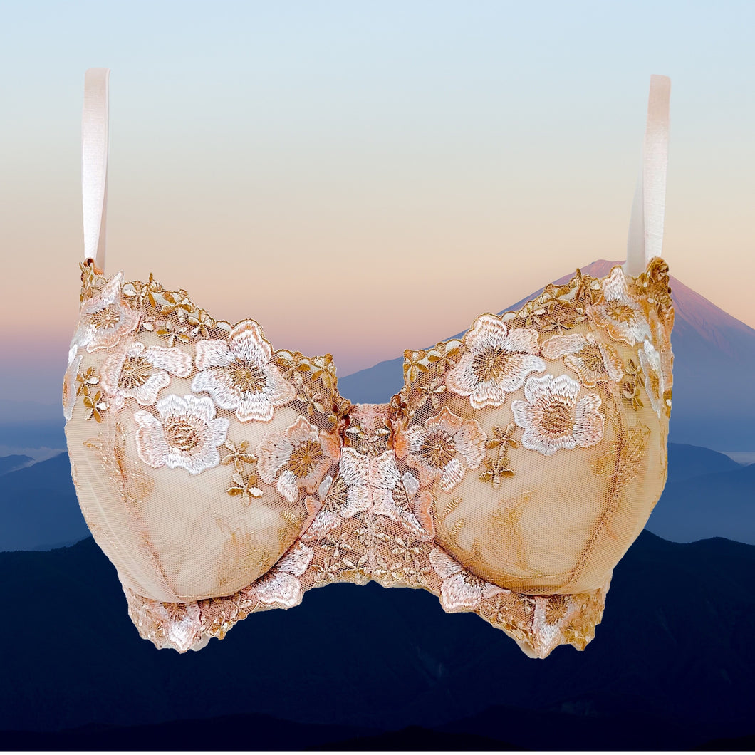 The Neutral Collection - Honeyed Peach Lace Bra Kit