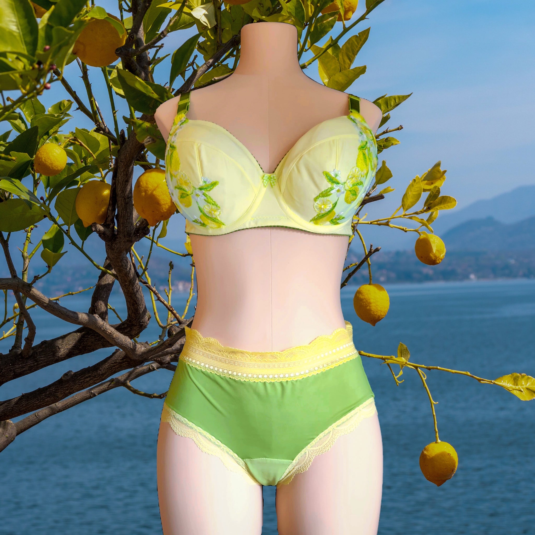 Lemon Ice Lace Bra Kit – Bra Builders