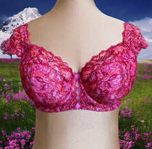 Load image into Gallery viewer, Confetti Willowdale Bra Kit