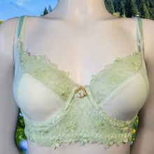 Load image into Gallery viewer, Bra Bee Laces