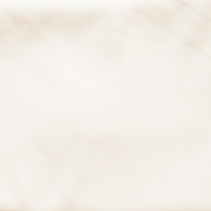 Cotton Jersey Fabric