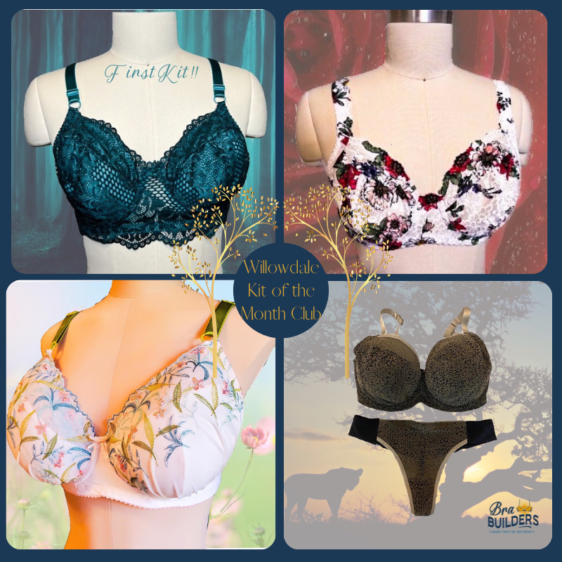 Willowdale Kit of the Month Club Subscription Bra Builders