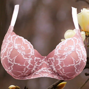 Magnolia Blossom Willowdale Bra Kit