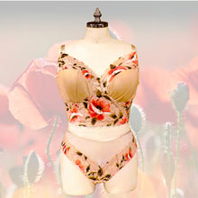 Load image into Gallery viewer, Persephone Willowdale Bra Kit