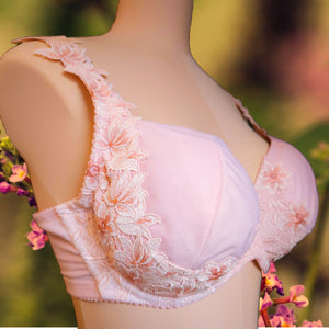 Lunarosa Lace Bra Kit