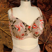 Load image into Gallery viewer, Persephone Lace Bra Kit