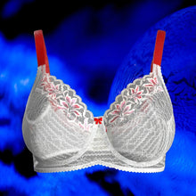 Load image into Gallery viewer, Christmas Candy Willowdale Bra Kit