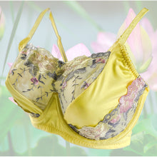 Load image into Gallery viewer, Celebration Tulle Lace Bra Kit