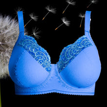 Load image into Gallery viewer, Windswept Stretch Lace Bra Kit